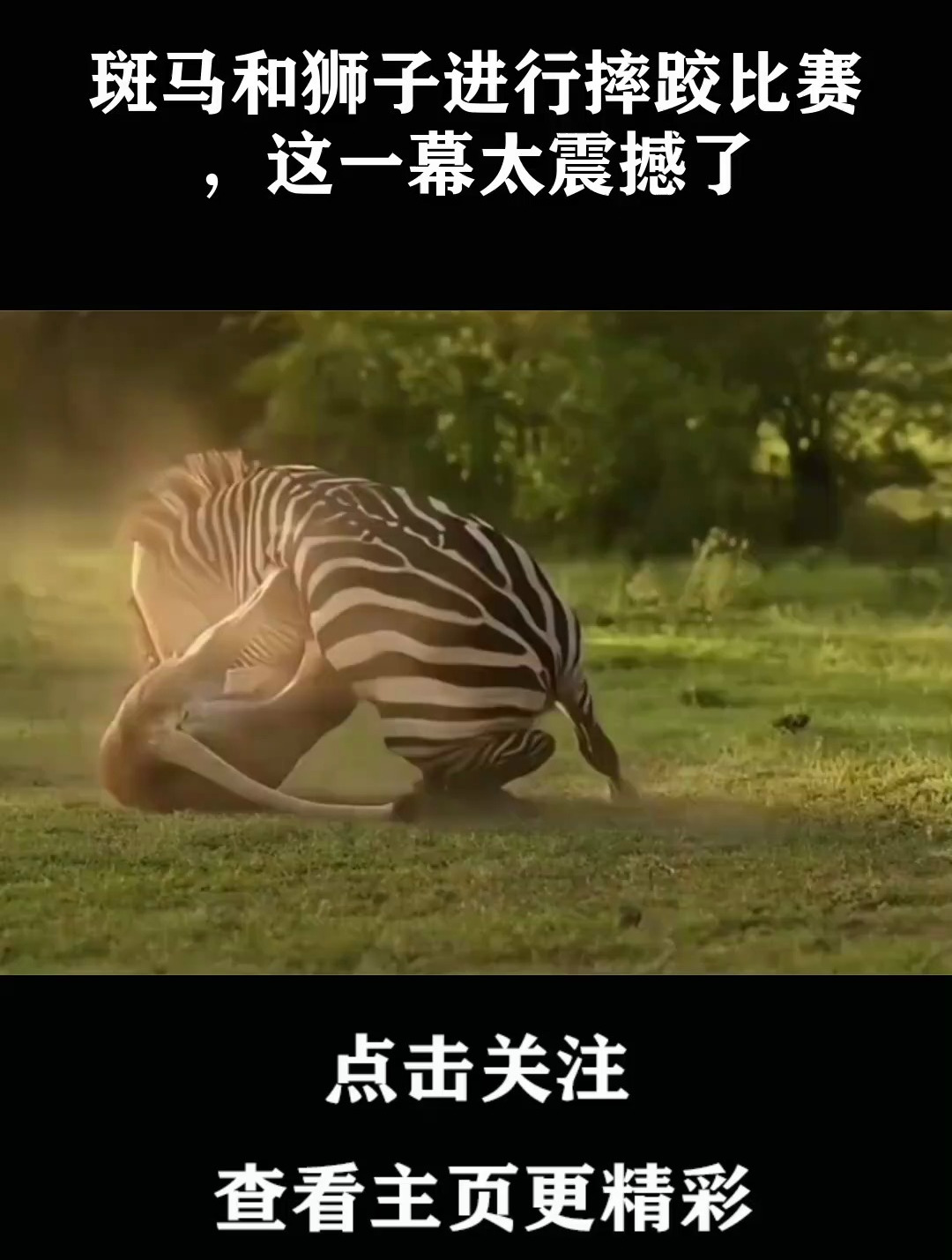 窒息比赛场面震撼回看,精彩一幕接一幕 窒息比赛场面震撼回看,精彩一幕接一幕