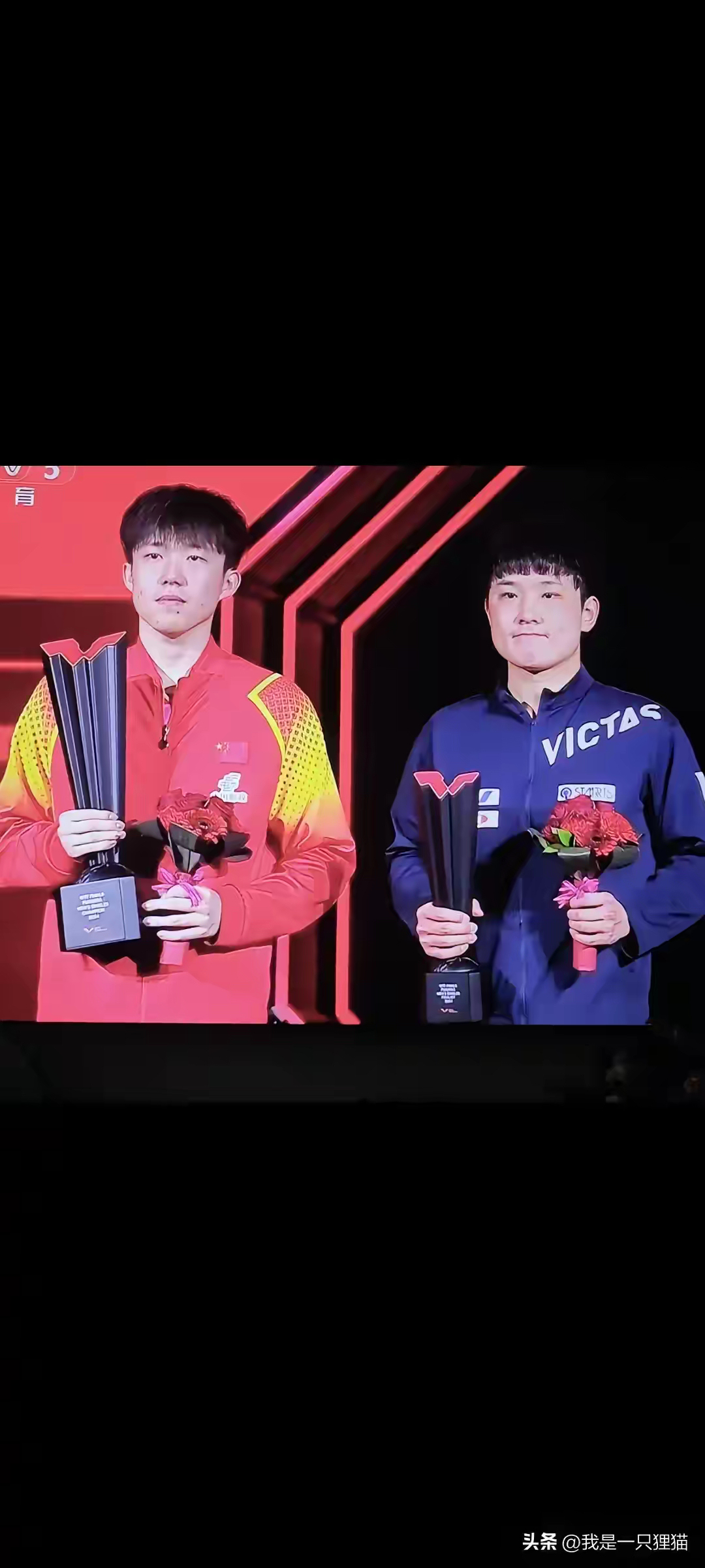 九游体育直播-波兰队完胜德国队，张本智和带队取胜的简单介绍